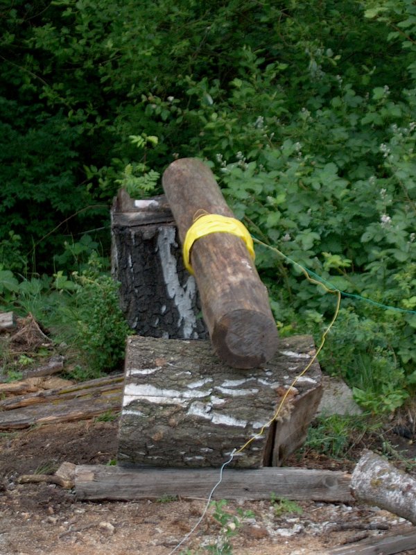 Holz zur Sprengung vorbereitet